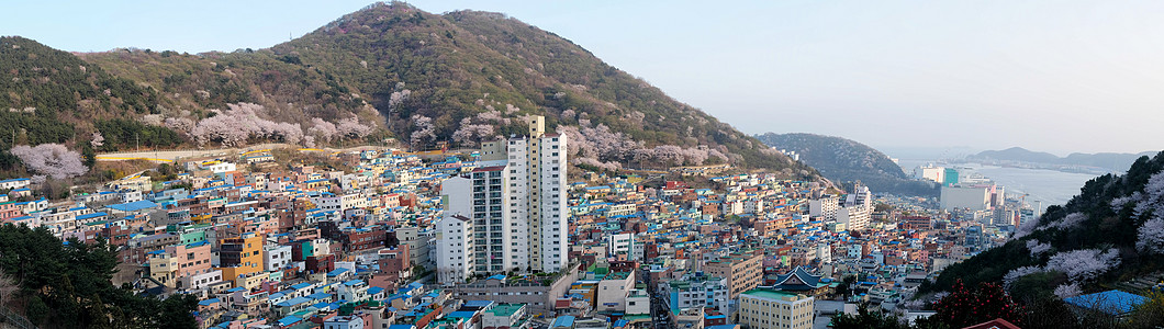 南韩釜山甘川文化村的景象市中心场景艺术旅游建筑物村庄蓝色糖果地标涂鸦图片