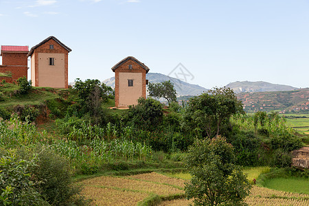 周围充满美丽自然的当地居民住宅房;和 居住条件图片