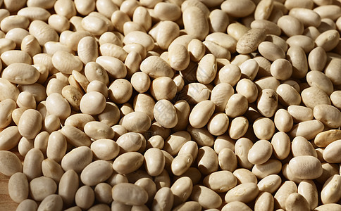 干豆种子农业豆类美食营养静物食品椭圆形蔬菜健康饮食图片