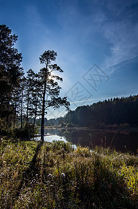 秋天森林中的湖泊 森林秋季风景 美丽的自然丛林生活阳光海岸线太阳衬套日落反射叶子季节图片