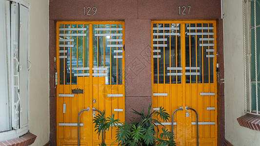 129号和127号 从墨西哥多彩市的公寓楼里房地产建筑街道窗户住房橙子公寓植物结构财产图片