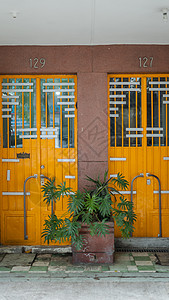 129号和127号 从墨西哥多彩市的公寓楼里结构财产住宅房地产家门城市入口房子植物建筑图片