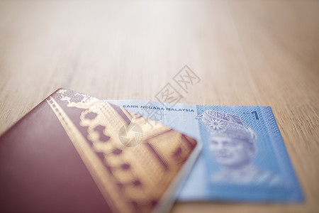 马来西亚国家银行 瑞典护照内一个林吉特纸条旅游卡片假期控制鉴别世界移民货币海关旅行图片