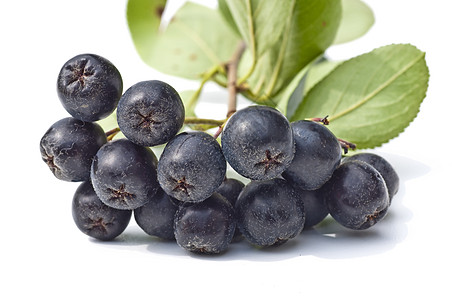阿罗尼亚梅拉诺卡帕黑色衬套小吃蓝色浆果食物饮食红色彩色水果图片