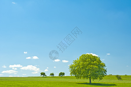 蓝色绿色的天空和云彩天气场地曲目农业黄金自由时段草地图片