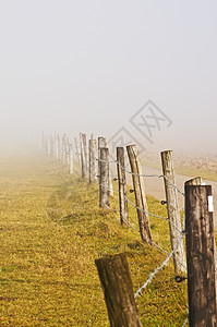 秋天降雾栅栏薄雾湿度季节性阴霾图片