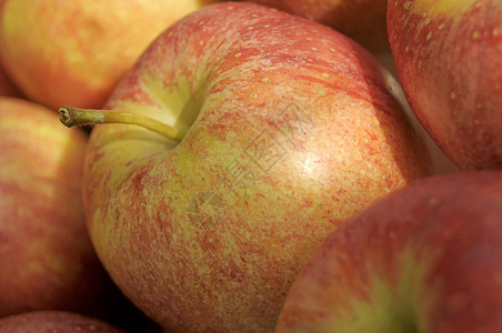 苹果熟食收成红色饮食纤维小吃食物图片