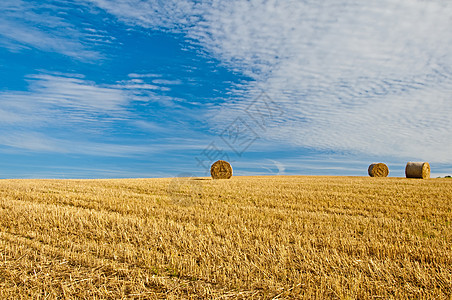 谷物收获季节性场地农业稻草国家天空牧歌全景绿色蓝色图片