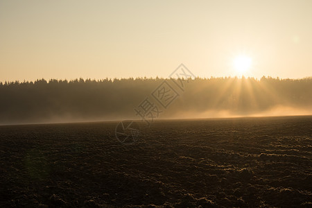 清晨在雾中的国家风景薄雾季节乡村场景太阳树木天空日落场地土地图片