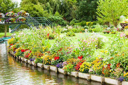 在河道之间的泉水中 花朵蓬勃公园天空运河园艺花瓣植物学植物叶子院子植物群图片