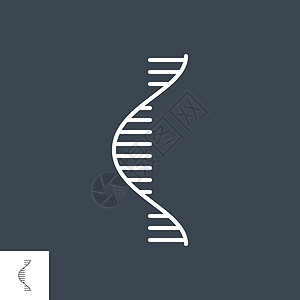 rnaRNA 相关向量细线 ico医疗细绳基因螺旋核糖药品技术图标核酸生物插画