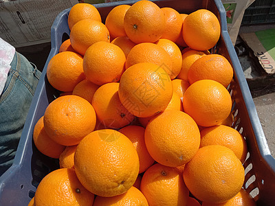 绿色和黄色橙色农业花园杂交叶子橙子生长甜橙水果园艺季节图片