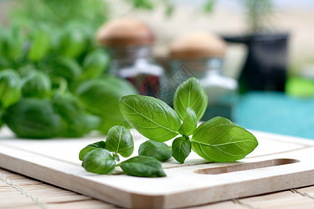 巴西尔蔬菜沙拉花园树叶植物群药品草本植物食物植物厨房图片