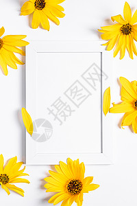 白色的空白图片框 以黄色花朵为模型植物框架美丽空间花头作品高架花瓣海报静物背景图片