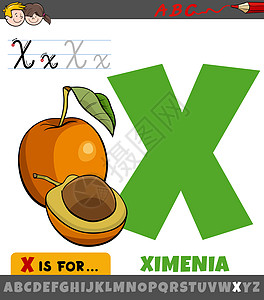 带有卡通Ximenia水果的 X 工作表图片