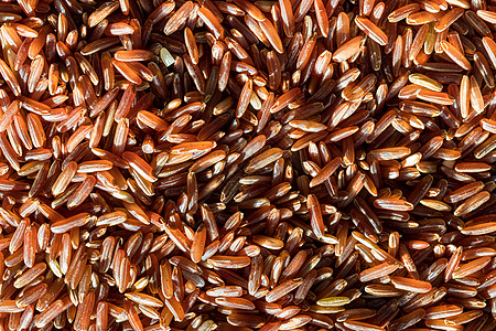 红米未经煮熟的谷粒荒野烹饪背景粮食厨房豆子食物营养谷物宏观图片