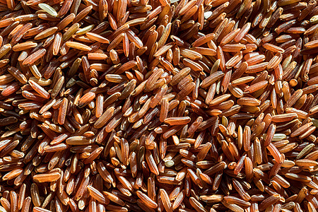 红米未经煮熟的谷粒豆子饮食粮食质地厨房大米背景种子宏观食物图片
