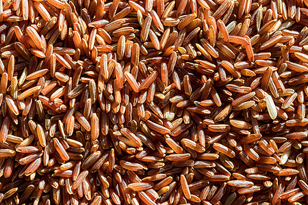 红米未经煮熟的谷粒营养谷物食物烹饪荒野背景粮食宏观豆子质地图片