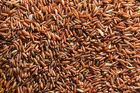 红米未经煮熟的谷粒背景厨房种子质地饮食谷物粮食农业食物荒野图片
