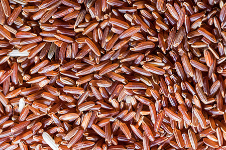红米未经煮熟的谷粒宏观农业厨房粮食种子饮食荒野烹饪食物质地图片