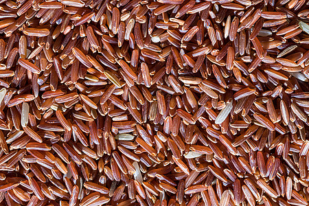 红米未经煮熟的谷粒烹饪谷物厨房食物豆子农业背景荒野种子宏观图片