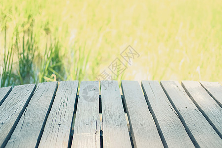 配有水稻田地背景的木板桌 用于调假变换种植园木头环境乡村产品植物桌子场地绿色剪辑图片