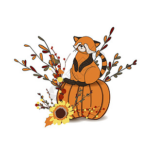 在白色背景上隔绝的秋季成分 秋色贴纸 可爱的动物 红熊猫刺猬橡子猫头鹰感恩松鼠乐趣季节婴儿尾巴坚果图片