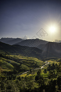 越南Yty Sapa Laocai等地的田稻田准备收割旅行地球成长建筑学日落环境阳台绿色植物农业图片