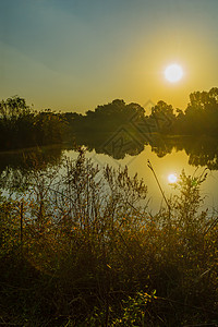 En Afek自然保护区内湿地上空的上午视图风景小路水池溪流历史沼泽运河地标反射环境图片