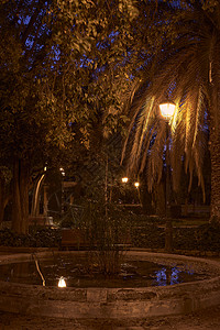 罗马夜间公园 配有喷泉和灯柱场景孤独小吃戒指长凳幸福叶子绿地树木季节图片