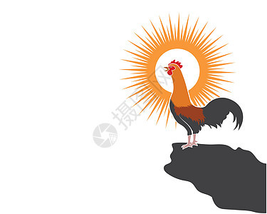 公鸡标志矢量图模板羽毛艺术红色男性家禽白色黑色绘画动物农场图片