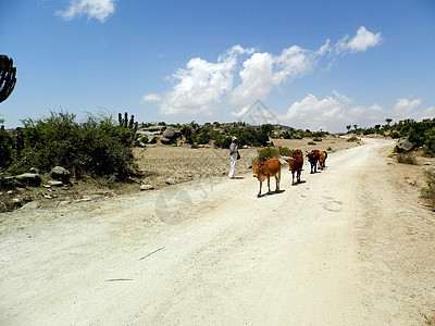 照片来自衣索比亚的波尔特附近村落景色美观摄影地标风景首都建筑学景观城市沙漠旅游极端山羊图片