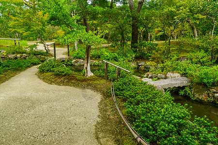 纳拉公园的景观绿色森林花园旅行吸引力旅游风景场景池塘植物图片