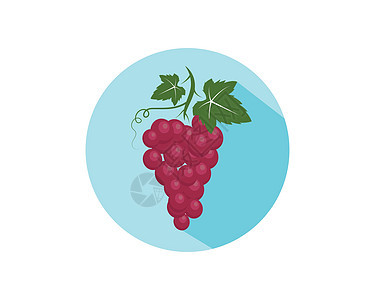带有叶子图标矢量图案的葡萄果实插图植物水果酒吧紫色酒厂酒精浆果藤蔓餐厅图片