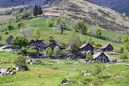 美人艺术农村瓦拉塔财产全景案件旅游森林风景平原图片