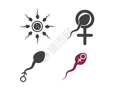 精精精图标图标徽标矢量说明设计卵母细胞插图生殖图表解剖学女士不育症药品男性图片
