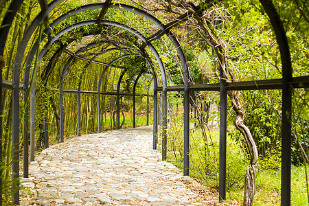 公园自然隧道 绿色彩色植物和铁栅栏种植园几何太阳篷布花园叶子旅行园艺框架温室图片