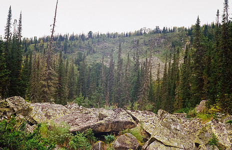 Altai 森林和山区的秋天自然旅游树木蓝色湖泊旅行全景岩石晴天山脉云杉图片