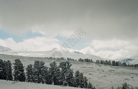 冬季阿尔泰 山丘和雪中的森林 冬天来到阿尔泰 雪落下风景雪山山脉全景天空爬坡环境冰川树木冒险图片