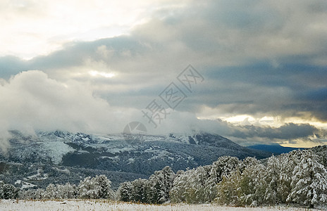 冬季阿尔泰 山丘和雪中的森林 冬天来到阿尔泰 雪落下岩石远足太阳针叶林旅行冰川仙境日落天空骑士图片