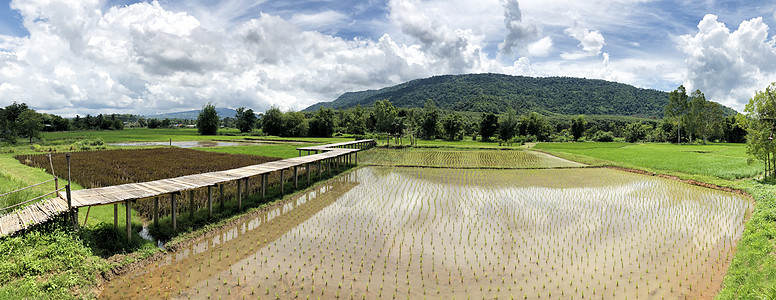 美丽的农村大田和山岳的全景图象图片