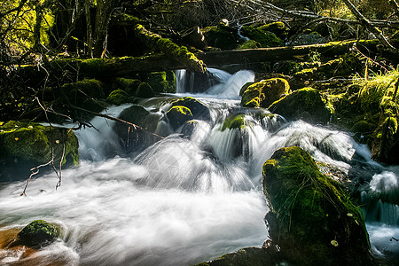 山区河流流过岩石 河流是阿尔泰河 大自然是阿尔泰山腰峡谷树木山谷喷射旅游冒险山脉高山环境图片