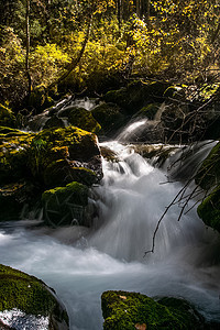 阿尔泰河的一条山河上的小瀑布 阿尔泰山区河流小河森林苔藓公园山脉流动风景荒野岩石运动图片