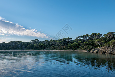 夏季发现波克罗尔岛 荒落的蜜蜂松树港口旅游帆船游泳阴影海滩自行车蓝色旅行图片