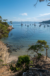 夏季发现波克罗尔岛 荒落的蜜蜂蓝色旅游旅行港口太阳自行车帆船松树阴影海滩图片