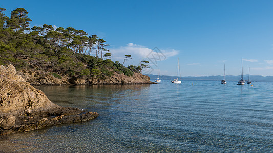 巴黎岛夏季发现波克罗尔岛 荒落的蜜蜂旅行自行车帆船旅游蓝色庭院港口海滩松树阴影背景