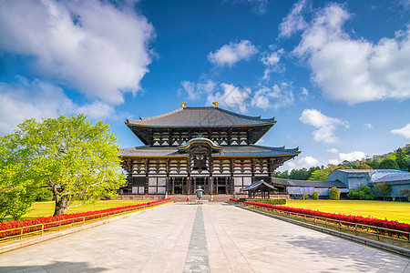 日本奈拉的Todaiji寺庙宗教建筑学神社地标木头天空建筑游客大佛遗产图片