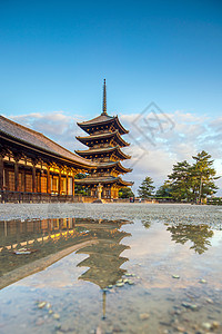 日本奈拉的五座神塔Kofukuji寺庙历史神社场景宝塔建筑学世界遗产佛教徒建筑宗教图片
