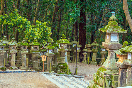 奈拉的朝中泰沙神社日光灯地标大社历史旅行神道历史性文化苔藓花园树木图片