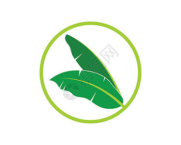 香蕉叶元素的矢量图标插图包装棕榈热带打印绿色花园树叶假期白色情调图片